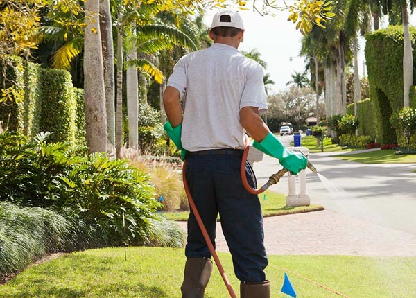 About Havana FL Pest Control